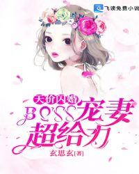 天价闪婚：BOSS宠妻超给力