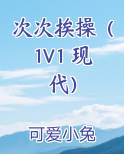 次次念的小说
