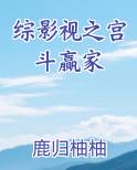 综影视之宫斗赢家
