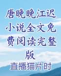 女主叫唐晚晚
