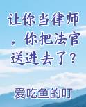 让你当律师，你把法官送进去了？