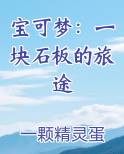 宝可梦：一块石板的旅途