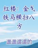 红楼：金戈铁马横扫八方