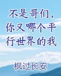 不是哥们，你又哪个平行世界的我
