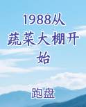 1988从蔬菜大棚开始