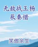 无敌战王杨辰秦惜